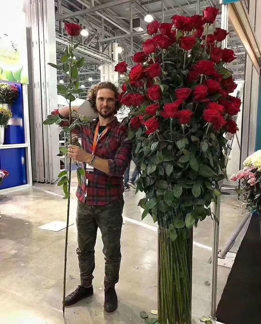 皇家礼炮玫瑰单只炮筒 不包含玫瑰（160*12.5cm）10个装 商品图2