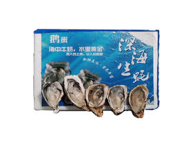 【鹅蛋】深海牛奶生蚝热卖中