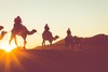 斯瓦科普蒙德骑骆驼预订&攻略  纳米比亚小地球旅行 camel riding 商品缩略图0