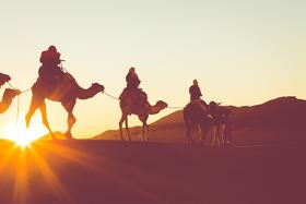 斯瓦科普蒙德骑骆驼预订&攻略  纳米比亚小地球旅行 camel riding