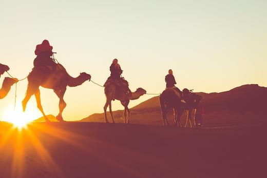 斯瓦科普蒙德骑骆驼预订&攻略  纳米比亚小地球旅行 camel riding 商品图0