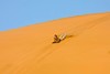 斯瓦科普蒙德滑沙预订&攻略  纳米比亚小地球旅行 Sand boarding 商品缩略图0