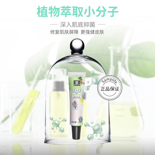 百草抑菌膏——抑菌止痒，消疹化湿 商品图3