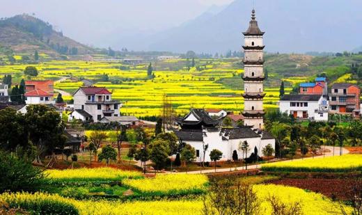 杭州1600亩的农庄大乐园——建德飞凤心灵庄园 商品图6
