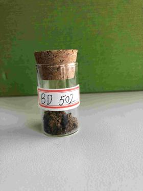 BD502 --507  每个品种3克