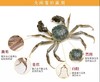 宠物 商品缩略图0