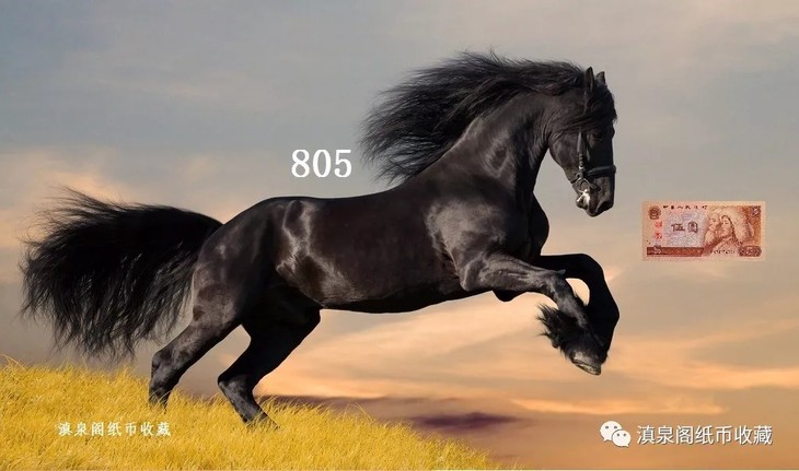 如果此轮行情805成为黑马品种,你是否感到意外?