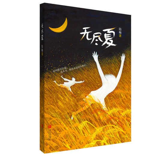 无尽夏  作者陆梅 商品图0