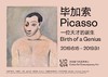 专人专拍丨毕加索——一位天才的诞生展览 商品缩略图0