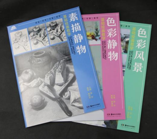 《基础绘画教学》素描静物、色彩静物、色彩风景 商品图0