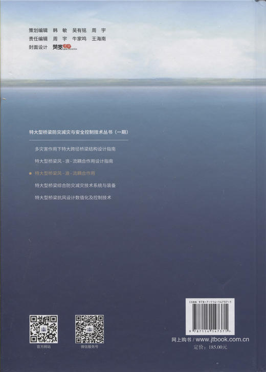 特大型桥梁风-浪-流耦合作用 商品图2