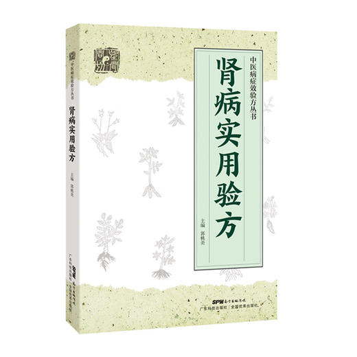 肾病实用验方 商品图2