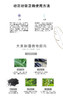 半个月亮礼盒（睫毛增长液+木质养眉笔） 商品缩略图3