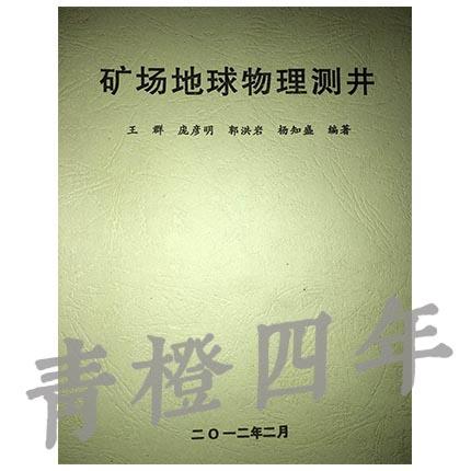 矿场地球物理测井 王群 庞彦明 郭洪岩 杨知盛 成都理工大学 商品图0