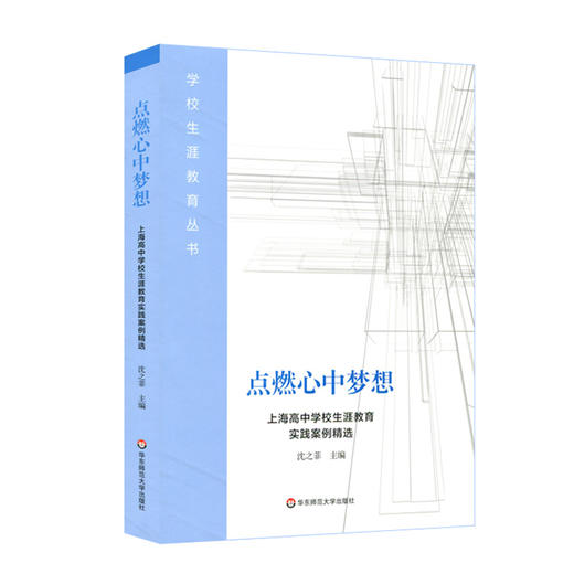 点燃心中梦想 上海高中学校生涯教育实践案例精选 学校生涯教育丛书 沈之菲  商品图0