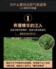 双色气垫眉膏 商品缩略图1