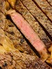 澳洲和牛眼肉M7牛排 口感细腻，奶香浓郁 丰润多汁 给孩子最好的品质 商品缩略图8