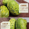 内蒙巴彦淖尔 河套地区富硒 虎皮脆 香瓜7.5-8斤左右/箱 皮薄肉厚 清脆爽口 口感酥脆 满口生香 商品缩略图5