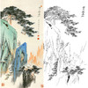 胡也佛竖幅工笔山水白描底稿-《黄山鹤蓋松》-多种白描尺寸可选-HY44 商品缩略图0
