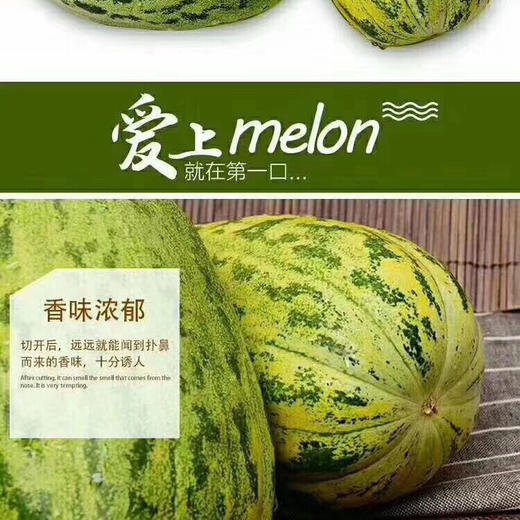 内蒙巴彦淖尔 河套地区富硒 虎皮脆 香瓜7.5-8斤左右/箱 皮薄肉厚 清脆爽口 口感酥脆 满口生香 商品图6