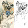 胡也佛竖幅工笔山水人物白描底稿-《鹦鹉展翅松》-多种白描尺寸可选-HY43 商品缩略图0