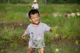  一位资深记者的自述：我“看见”的越多，越扎根土地 