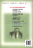 正版现货 建筑供配电与照明 上册  建筑供配电 高等学校智能建筑技术系列教材 建筑供配电 电气照明设计工作工具书 商品缩略图2