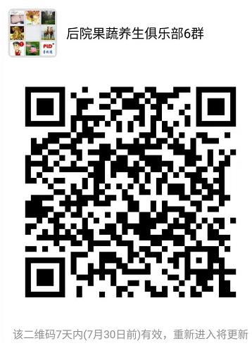 拼团测试 商品图0