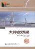 正版现货 大跨度桥梁 交通版 高等学校土木工程专业规划教材 土木工程专业的设计、施工技术人员用书 陈从春 李国芬等编著 商品缩略图1