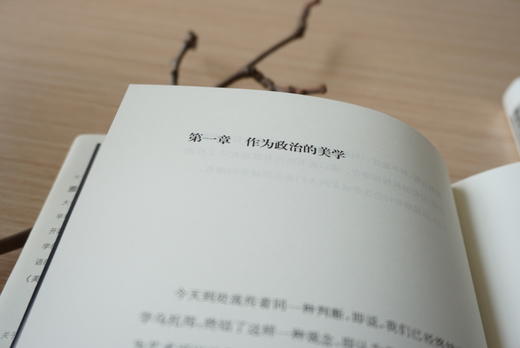 美学中的不满 商品图5