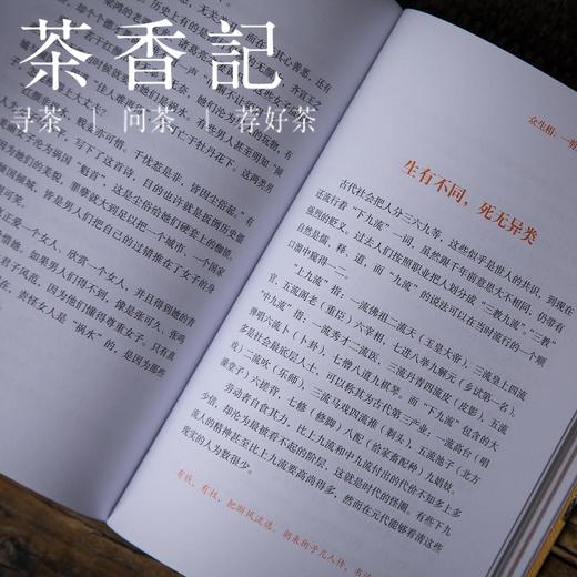 茶香记《最是元曲销魂》 文化读物 解读经典的元曲 领略蕴含在元曲中的人文情怀 商品图3