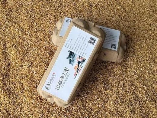 瑞昌特产东篱土鸡蛋10枚【团购价14.9元/盒】粉色绿色随机发货 商品图1