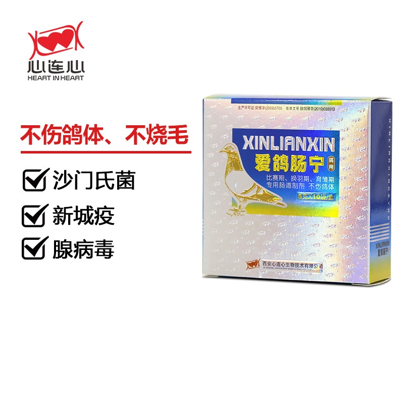 【爱鸽肠宁】比赛 育雏 换羽 不伤鸽体（心连心）