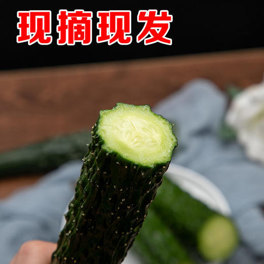 黄瓜2.5斤±100g【团购价9.9元/份】 商品图2