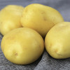 土豆3斤±100g【团购价11.8元/份】 商品缩略图2