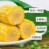 新鲜玉米（带皮）3斤±100g【团购价11.8元】 商品缩略图2