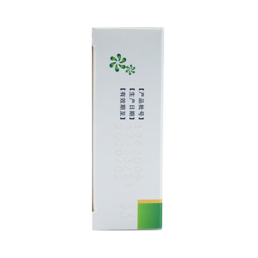 栀子金花丸  9g*10袋  承德天原 商品图1