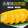 新鲜玉米（带皮）3斤±100g【团购价11.8元】 商品缩略图5