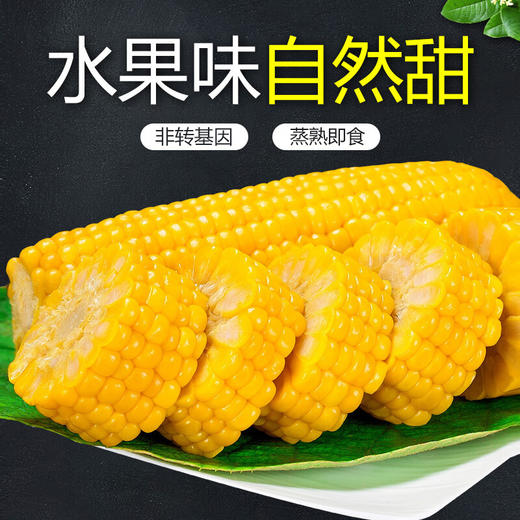 新鲜玉米（带皮）3斤±100g【团购价11.8元】 商品图5