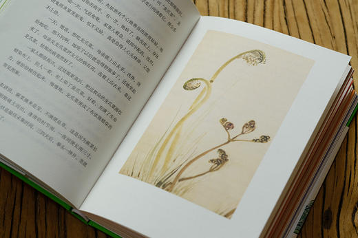 万物有故事（套装3册） 商品图12