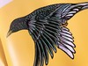 19年6月新书《瓢虫究竟有多重》儿童绘本 商品缩略图3