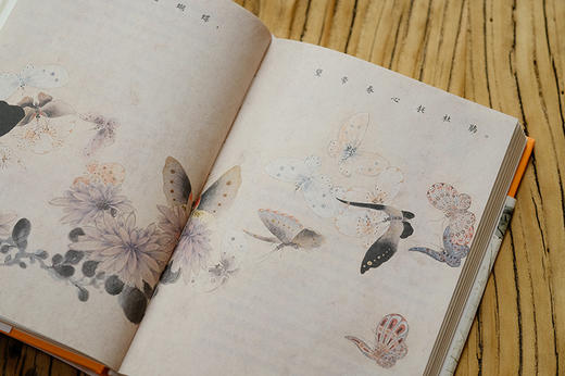 万物有故事（套装3册） 商品图14