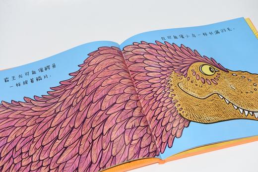 19年6月新书《霸王龙到底有多高》儿童绘本 商品图1