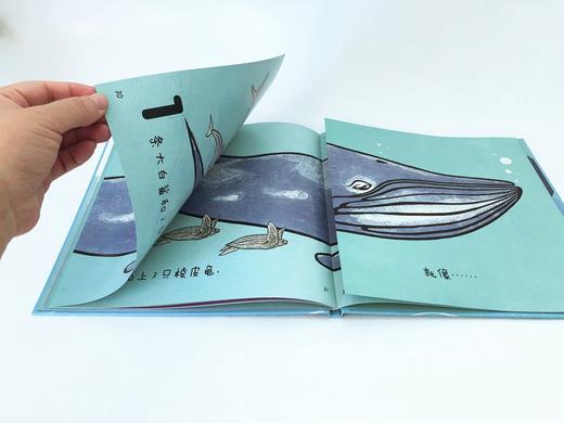 19年6月新书《鲸鱼可以长多长》儿童绘本 商品图1