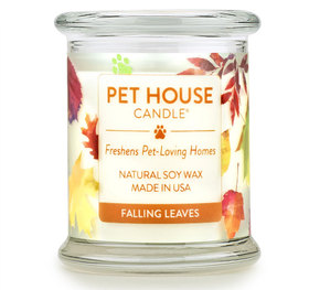 Falling leaves 秋日落叶