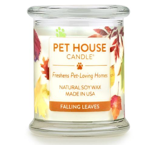Falling leaves 秋日落叶 商品图0