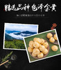 【哇!土豆】哆妹妹麻辣烤土豆香辣休闲小零食辣条四川名特产5袋装 商品缩略图3