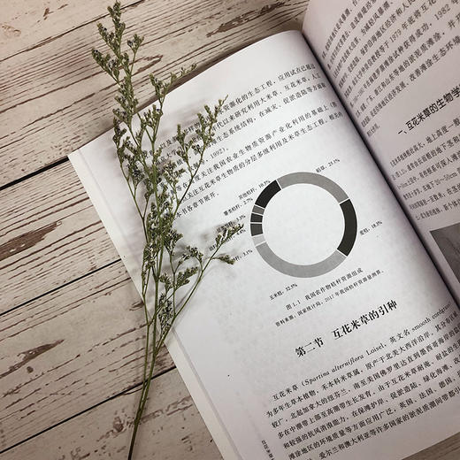 互花米草生态工程 商品图4