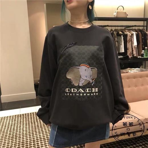 点此购买 Coach 蔻驰重工迪斯尼小飞象刺绣卫衣 曾123791 商品图6
