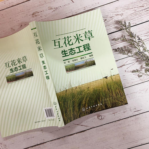 互花米草生态工程 商品图2